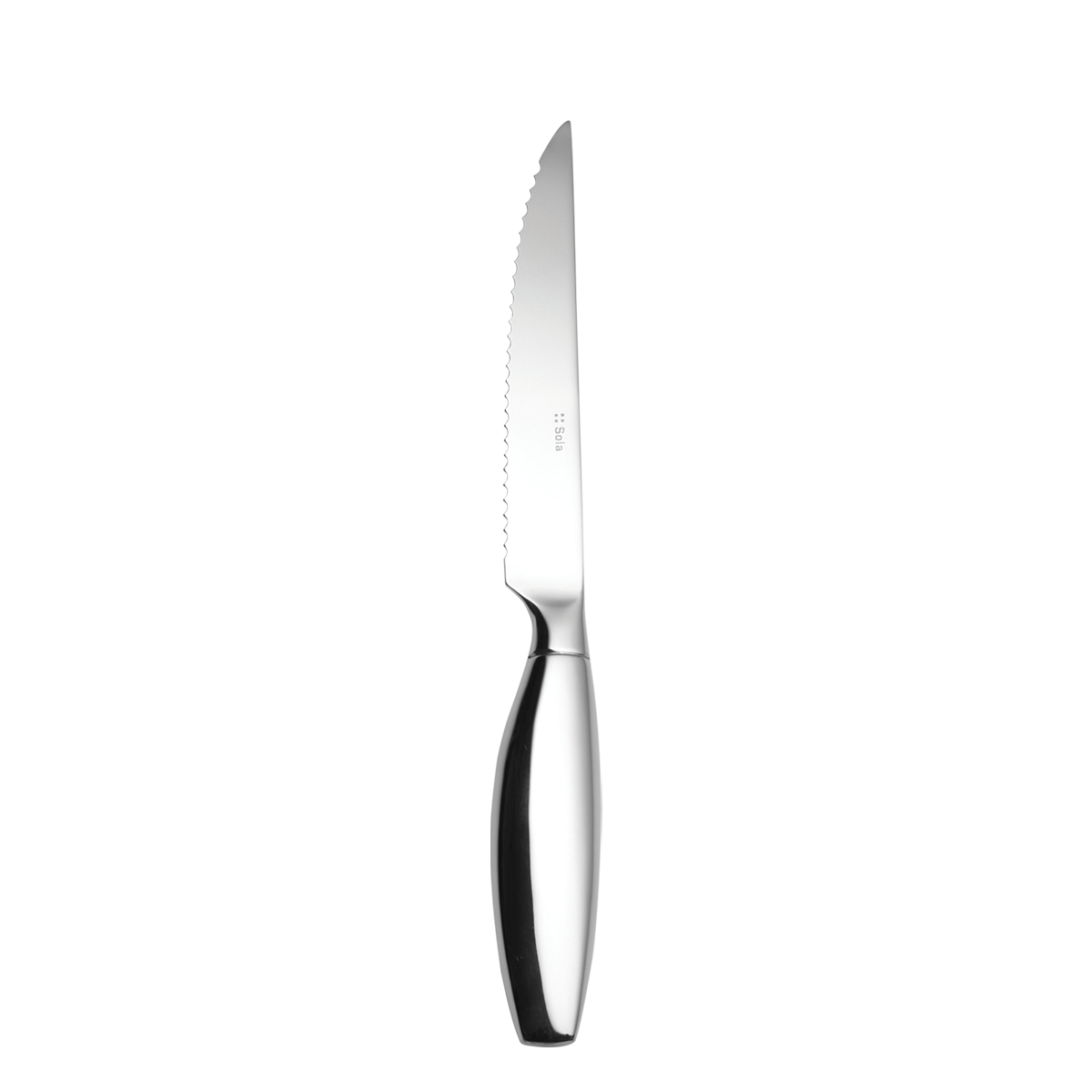 Steakový nůž s dutou rukojetí 23,5cm - lesklý – Touch me - 118552