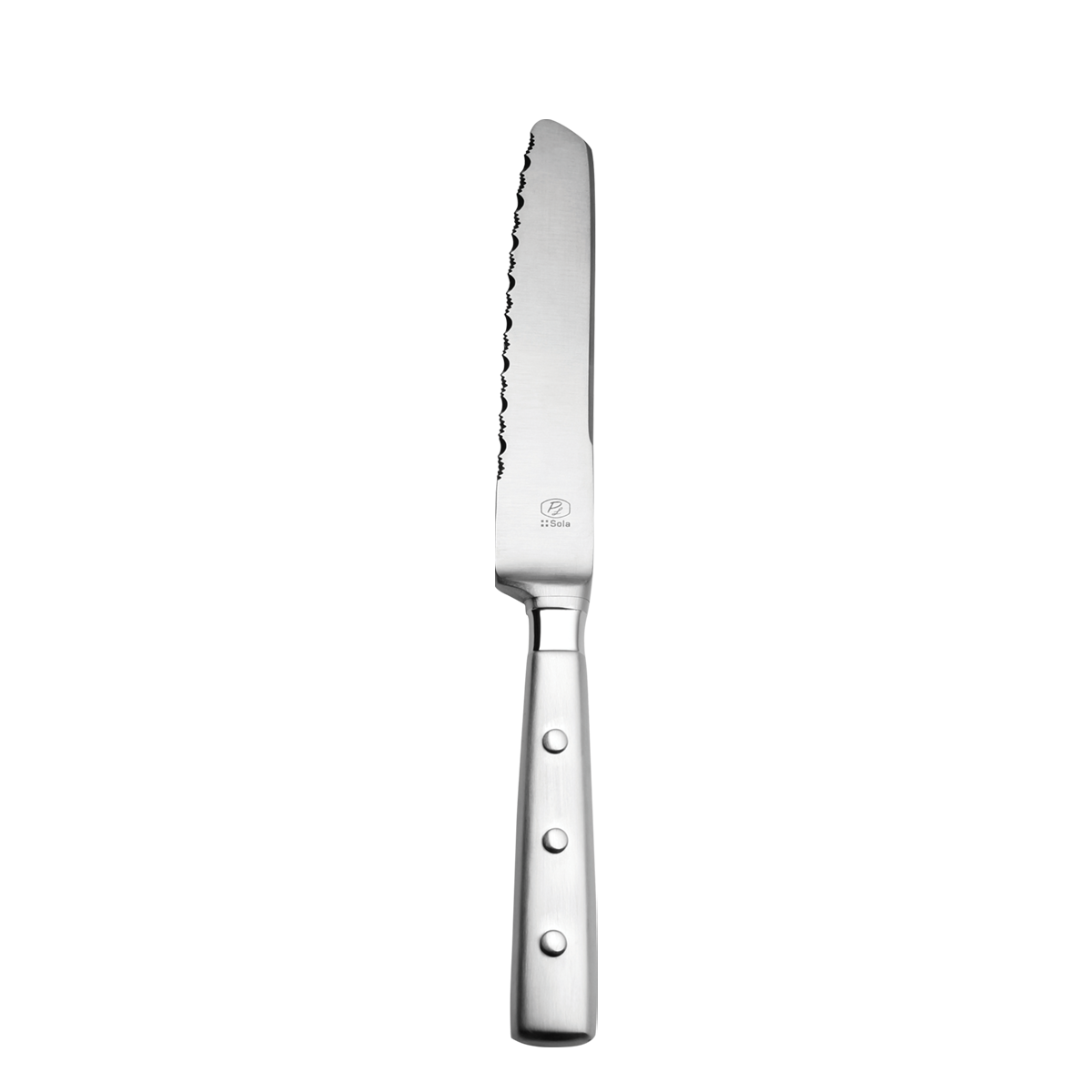 Steakový nůž s dutou rukojetí 20cm – Bistro - 118754