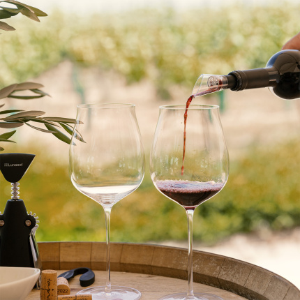 Sklenice na Cabernet / Alibernet 650 ml set 2 ks - FLOW Glas Platinum Line
