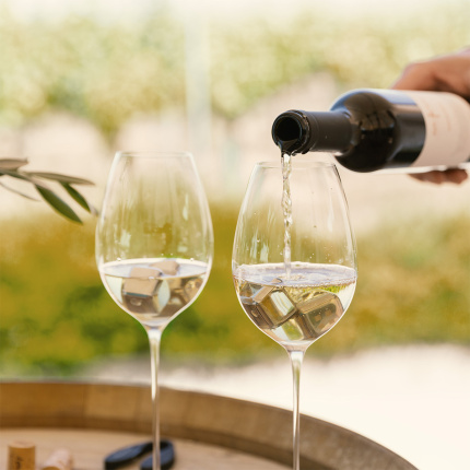 Sklenice na bílé víno 280 ml set 2 ks - FLOW Glas Platinum Line