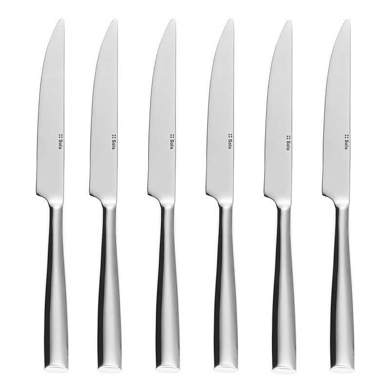 Steakové nože v magnetickém boxu 6 ks - Vail