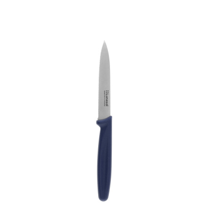 Kuchyňský nůž 10,2 cm zoubkovaný | Master Blue