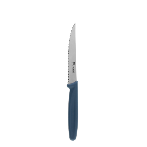 Steakový nůž 11,2 cm | Master Petrol