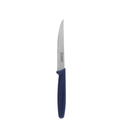 Steakový nůž 11,2 cm | Master Blue