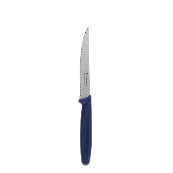 Steakový nůž 11,2 cm | Master Blue