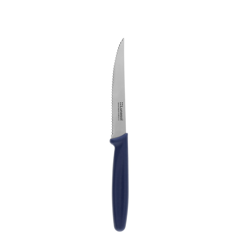 Steakový nůž 11,2 cm | Master Blue