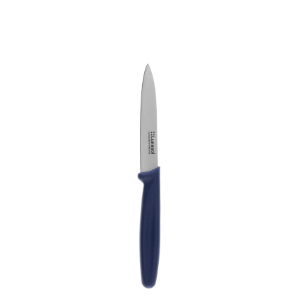 Kuchyňský nůž 10,2 cm bez zoubků | Master Blue
