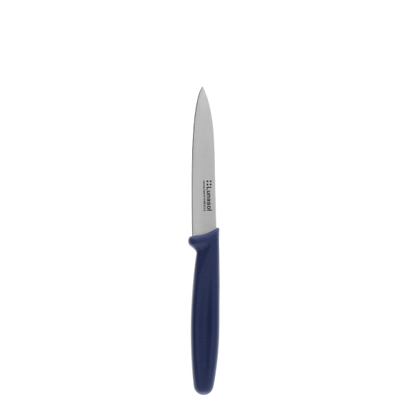 Kuchyňský nůž 10,2 cm bez zoubků | Master Blue