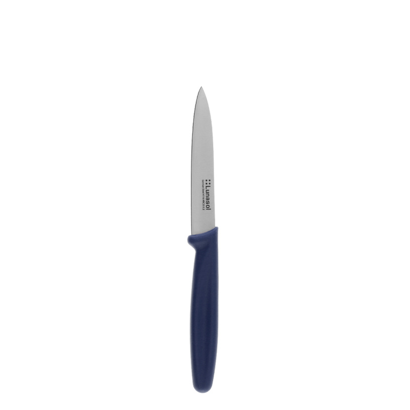Kuchyňský nůž 10,2 cm bez zoubků | Master Blue