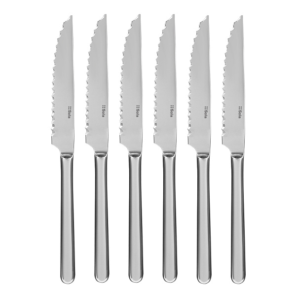 Steakové nože ve stříbrném magnetickém boxu 6 ks - Como