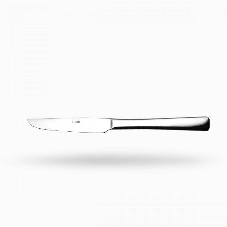 Steakový nůž 22,2 cm – Atlantic 2000