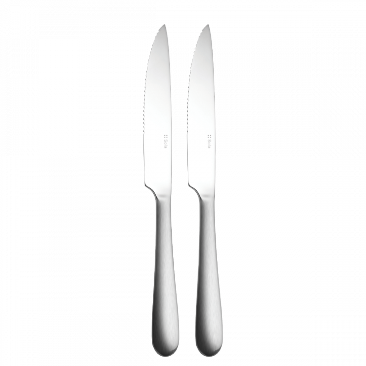 Steakové nože set 2 ks – AlphaStiel matný