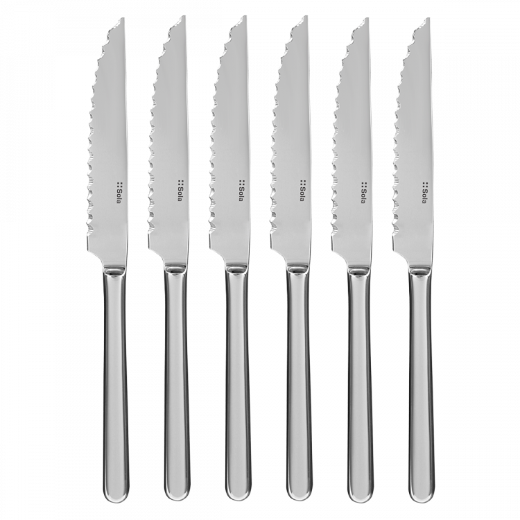 Sola - Steak nože v stříbrném magnetickém boxu 6 ks - Como (110507)