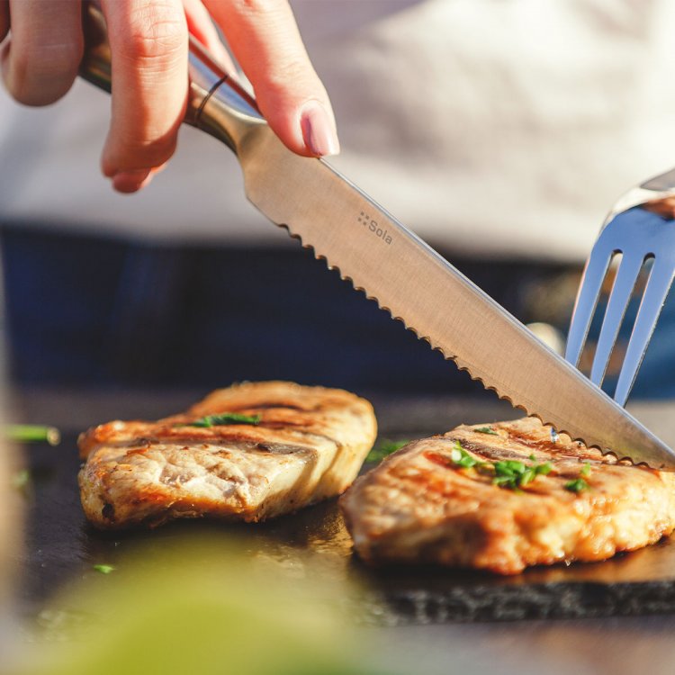 Steakový nůž s dutou rukojetí 23,5cm - lesklý – Touch me